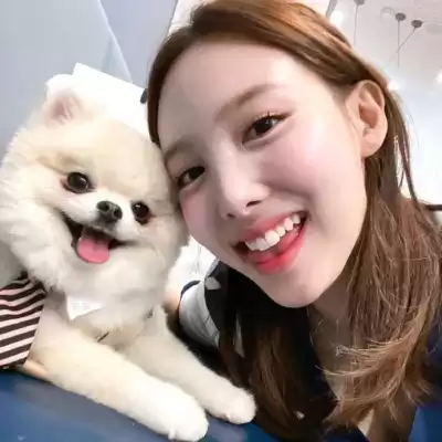 庾芝芳